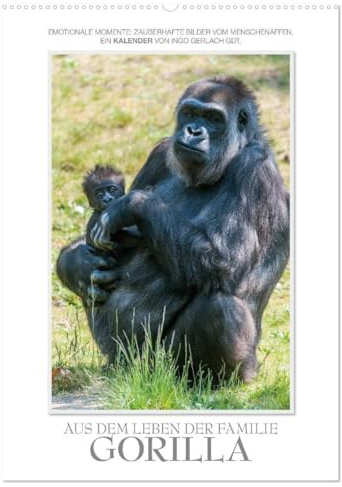 Emotionale Momente: Aus dem Leben der Familie Gorilla. (Wandkalender 2026 DIN A2 hoch), CALVENDO Monatskalender: Zauberhafte Bilder von unserem ... von Ingo Gerlach GDT. (CALVENDO Tiere)