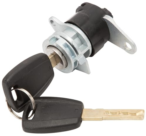 Taesayl Serrure de porte arrière avec 2 clés, compatible avec Boxer, Ducato, Jumper et Doblo à partir de l'année de construction - Cylindre de serrure pour porte arrière 4162.SK, 4262SK