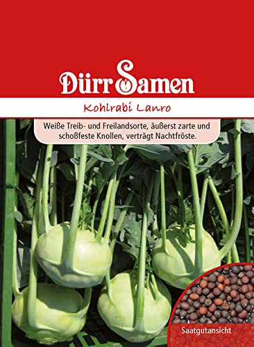 Dürr-Samen - Kohlrabi Lanro Saatgut