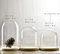 Glasglocke mit Holztablett, Durchmesser: 15 cm, glas, farblos, S