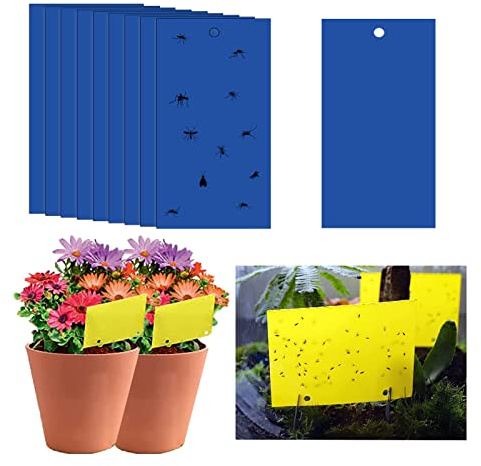 40 Stück klebrige Fliegenfallen, 20 x 25 cm blaue Fliegenpapieraufkleber, blaue Aufkleber, Schutzpflanze, klebrige Fliegenfänger, doppelseitig, für Insekten gegen Trauermücken, Weiße Fliegen