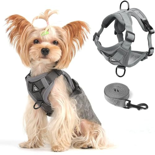 Cat Harness and Leash Set Weste Geschir Leinen Set für kleine Hunde und Große Katze, Katzengeschirr Ausbruchsicher Verstellbare Jacke mit Leine mit Reflektorstreifen für Dicke Katzen,XL Grau