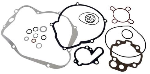 2EXTREME Motor Dichtungssatz komplett, kompatibel für RIEJU MRT, MRX, RR, SMX, Tango, RS 1, RS2, Spike X, Pro 50cc