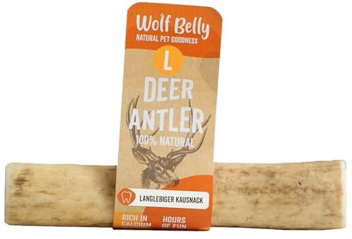 Wolf Belly - Hirschgeweih für Hunde 100% Natürlich (Größe L) | Größe L (76-150 g), Langlebig und robust, Splitterfrei, Gegen Zahnstein, Reduziert Stress, Kalzium, Produziert in Spanien