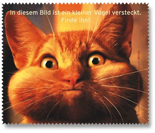 Brillenputztuch In diesem Bild ein kleiner Vogel versteckt...