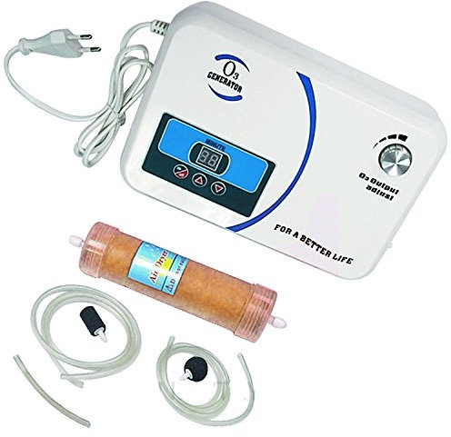 newtry 300 en el hogar Generador de Ozono oxígeno activo lavadora máquina de desintoxicación de frutas y verduras esterilizador de aire purificador de agua 220V
