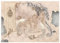wandmotiv24 Fototapete Pfau Ornamente Wand Beton, XS 150 x 105cm - 3 Teile, Wanddeko, Wandbild, Wandtapete, Vintage Vögel Bäume Zement M6848