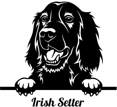 Autoaufkleber/Sticker/für Innen und Außen 28 cm schwarz Irish Setter 02