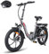Fafrees 2025 F20 E Bike Klapprad 20 Zoll [ Offiziell ] Herren Damen Fatbike 16AH/ 20AH Akku, Elektrofahrrad 250W Tiefereinstieg, Fat Ebike 140kg, E Mountainbike Erwachsene 25km/h (16AH Akku, Grau)