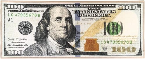 J&V TEXTILES Money Rugs Teppich, 100 Dollar Bill Läufer, für Wohnzimmer, Küche, Waschlappen, Schlafzimmer, Badezimmermatte, 55,9 x 134,6 cm