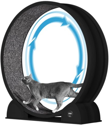 Trainingsrad für Katzen, leises Design, Naturholz, extra groß, 320 cm, abnehmbar, mit intelligentem Schrittzähler, ideal zum Laufen und Gehen