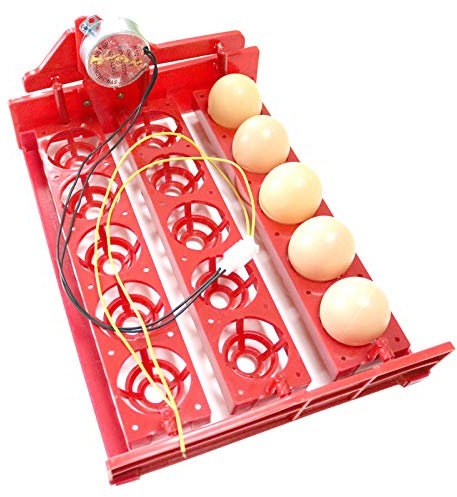 Zonster Incubadora Automática 1PC Incubadora Apagará Automáticamente Huevos De 3 * 5 Agujeros De Aves De Corral De Incubación