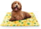 FurDreams Pet Cooling Mats, Self Cooling Mat Bed for Dogs, Cats to Prevent Overheating During Rest & Sleep – Heat Absorbing & Waterproof Gel Pillow Pad to Keep Ice Cool – Pineapple(50x90cm)