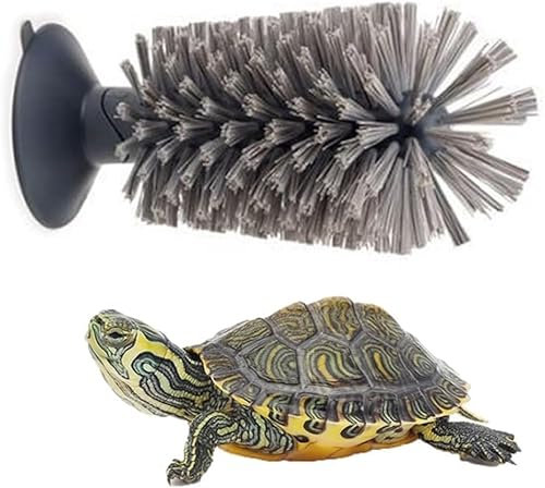 Brosse à Récurer avec Ventouse Grattoir Exfoliant pour Nettoyage et Entretien de Carapace (Black)