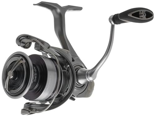 Daiwa EXCELER 2500-XH LT Spin Reel, 5BB + 1, 6.2:1