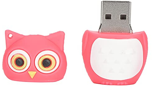 Bewinner Clé USB de Dessin animé de Hibou Rose, clé USB Fantaisie en Forme d'animal avec Stockage à Grande Vitesse, Plug and Play, Décorative Mignonne pour Enfants, étudiants, (64GB)