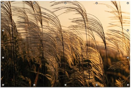 Wallario Outdoor-Poster für Garten oder Balkon Schilf im Wind, Motivbanner Größe: ca. 120 x 180 cm, Outdoor-Bild