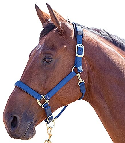 Shires Topaz Nylon Pony/Horse Headcollar - Black