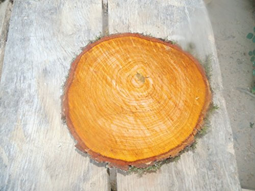 KJR Holzmanufaktur Baumscheibe, Holzscheibe,ca. 30x3 cm, basteln, Holz,Erle