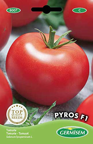 Germisem Pyros F1 Semillas de Tomate 0.1 g, EC8007