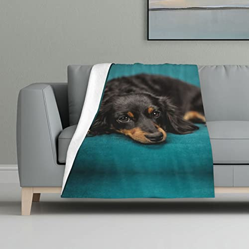 KIDINN Flanelldecke mit niedlichem Hundemotiv, leicht und fusselfrei, geeignet für Betten und Sofas, 81,3 x 121,9 cm