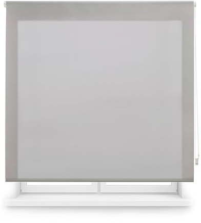 Blindecor Transparentes Rollo nach Maß | Rollo nach Maß | Grau | 155 x 250 cm (Breite x Höhe) Stoffgröße 152 x 245 cm | lichtdurchlässige Rollos für Fenster