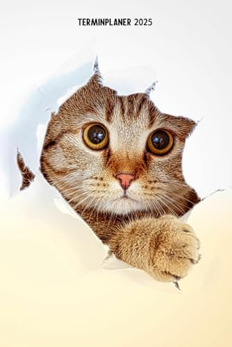 Terminplaner 2025: Witziger Katzen Design Jahresplaner und Kalender von Januar bis Dezember 2025 - Organizer und Zeitplaner für 1 Jahr