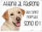 LABRADOR Attenti al padrone qui l'unico normale sono io! CANE CARTELLO TARGA IN METALLO (15X20)