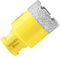 Teronbeta Diamond Core Drill Bit 38mm, M14 Vacuum Brazed Diamond Core Hole Cutter for Tile Porcelain Ceramic Granite Marble,and for Angle Grinder