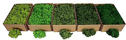 Hello Moss Islandmoos Norwegisch 0,5/1kg - Konserviertes Moos Live, voll biologisch - Moos Deko ideal für Ostern, Weihnachtsdekorationen - bastel moos, Terrarium moos (0.5kg, mittelgrün)