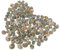 BESPORTBLE 200pièces Coquilles De Conch Decor Naturel pour Aquariums Remplacements De Coquilles pour Crabes pour Terrariums Et Décorations De Fêtes Thématiques Oceaniques