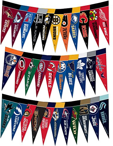 Rico Industries NHL Hockey Komplettes 34-teiliges Liga-Set, 10,2 x 22,9 cm, Filz-Mini-Wimpel (Set enthält Wimpel für jedes NHL-Team und 2 Konferenzen)
