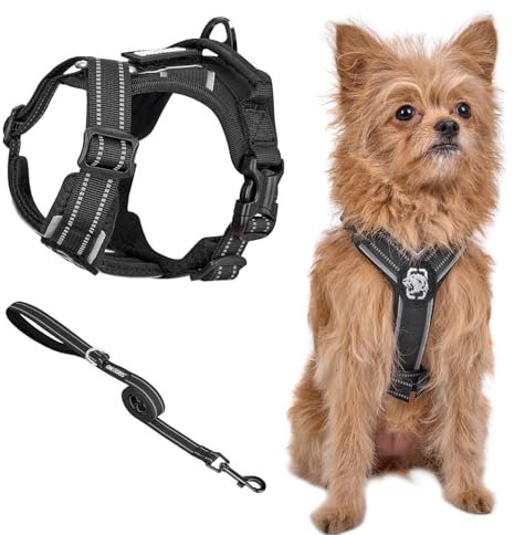 OneTigris Geschirr Set für Kleine Hunde, ANTZ Tactical Geschirre und Leine mit Lichtreflexband, Hundegeschirr mit Griff für Kleine, Mittelgroße Hunde wie Chihuahua, Yorkshire, Wiener Hund, Schwarz XS