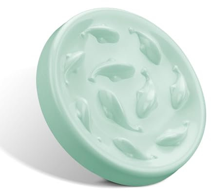 Gamelle anti-glissement pour chats et petits chiens, gamelle pour chat à alimentation lente avec dessous antidérapant avec bords hauts pour éviter les chutes et facile à nettoyer pour chats, ronde