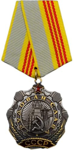 Stakee Sowjetunion-Medaille, UDSSR-arbeits-ehrenmedaille, Vintage-metallabzeichen, Brosche, UDSSR-militärauszeichnung, Kleidungsdekoration, Gedenksammlung, Ornamente