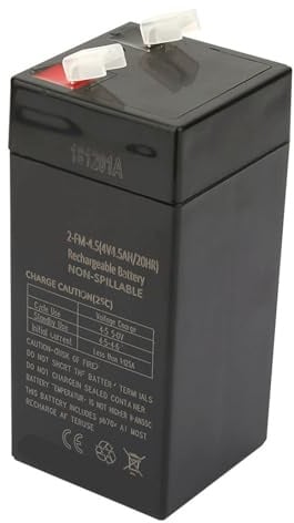 FTVOGUE Batteria Ricaricabile Sigillata da 4 V con Ricarica Rapida e Lunga Durata, Perfetta per Bilance Elettroniche e Macchinine