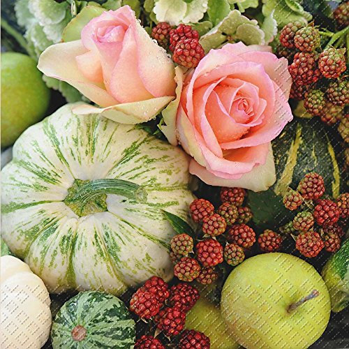 Gerda Obst & Gemüse Design 3-lagig bedruckt Papier Serviette Stewo/20Âpack Â33Âx 33Âcm