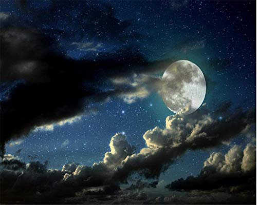 ZHEN WALLPAPER Tapete für Wände 3 d Vollmond Nacht TV Hintergrund Wand Schlafzimmer para Quarto Benutzerdefinierte Tapete Wandbilder ~ 430 cm * 300 cm (169,3 x 118,1 Zoll)