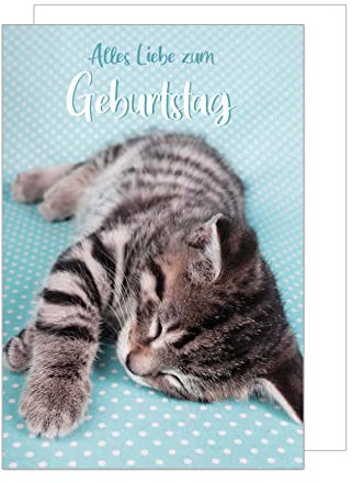 Edition Seidel Premium Geburtstagskarte mit Umschlag. Glückwunschkarte Grusskarte Billet Geburtstag Happy Birthday Mann Frau einzelne eine Sprüche Karte Katze (G3125 SW022)
