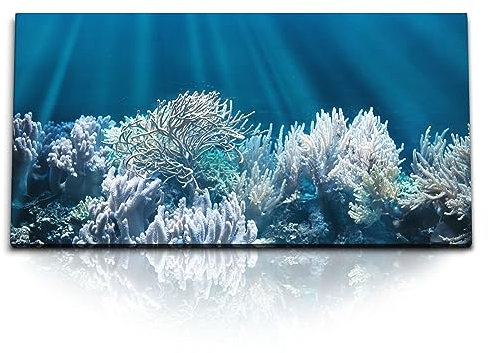 Paul Sinus Wandbild 120x60cm – Unterwasserwelt mit weißen Korallen: Naturkunst für maritime Wohnträume auf hochwertiger Leinwand