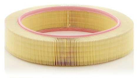 MANN-FILTER, C 40 174 Luftfilter | Für PKW, Saubere Luftzufuhr, Langlebiges Filtermedium, Passgenaues Design, Echte OE-Technologie