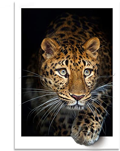 Instarry DIY 5D Diamond Painting Zubehör Groß Gepard Dekoration Wohnung Modern 60x40 cm