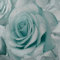 MURIVA MADISON ROSE GLITTER FLORAL WALLPAPER AQUA BLUE GREY 139523