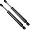 zjsm NfffiPp - 2 stücke Auto Heckklappe Boot Gas Frühling Streben Prop Lift Unterstützung Dämpfer passt für FIAT Coupe 1993 1994 1995 1996 1997 1998 1999 2000 6290bp 0250n 46304290