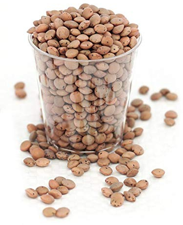 Aconbury Sprouts organically grown Brown Lentils for sprouting