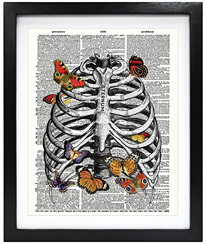 Susie Arts 8 x 10 Schmetterling in gerahmt Brustkorb aus recycelten Vintage Wörterbuch Kunstdruck Buch Kunstdruck Funny Kunstdruck Anatomie Art Wand V136