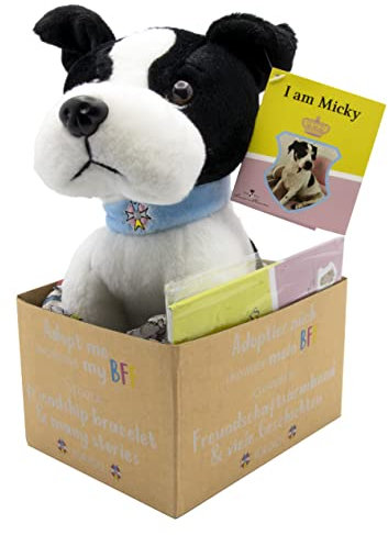 Joy Toy Prinzessin Maja von Hohenzollern Micky Adopt me Plüsch 18 cm mit Armband für den neuen BFF und illustriertem Vorlesebuch in Geschenkkarton 12x15x25 cm, Multicolor, One Size