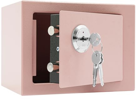 Fyssnn Schlüsselsafe Safe Tresor mit Münzeinwurf & Schlüssel| 4.6L Sicherheitstresor Möbeltresor Wandtresor für Zuhause/Büro | 23 * 17 * 17cm (Rosa)
