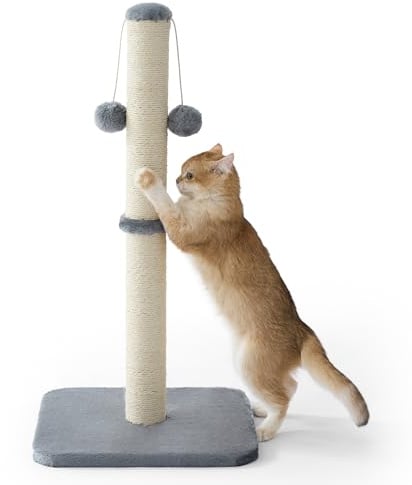 Lesure Kratzsäule Mittelgroßer für Katzen Indoor 36x36x74cm | Kratzstamm mit Hängendem Spielball, Kleiner Kratzbaum mit Sisalseil, Stabile Basis Kratzsäule, Grau