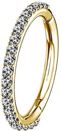 OUFER 16G 8mm Piercing Helix Hoop Or Tragus Ring Daith Earrings Acier Chirurgical Gold Orbital Conch Piercing Anneau Boucles Cartilage Oreille CZ Hinged Women Jewelry Bijoux Femme Hommes Gifts